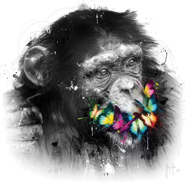 Chimpanzees: Don't Speak by Patrice Murciano