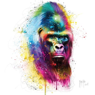 Gorilla In The Mist by Patrice Murciano acrylic art print