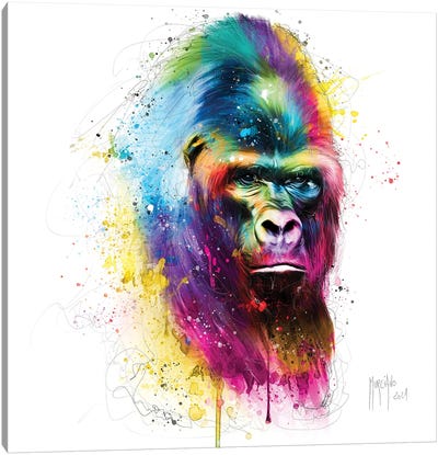 Gorilla In The Mist Canvas Art Print - Patrice Murciano