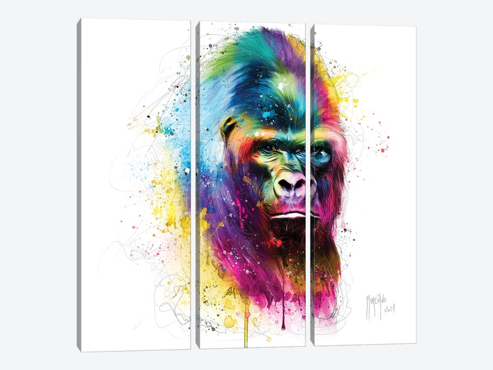 Gorilla In The Mist by Patrice Murciano 3-piece Canvas Art