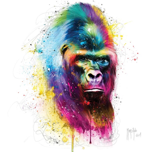 Gorillas: Gorilla In The Mist by Patrice Murciano