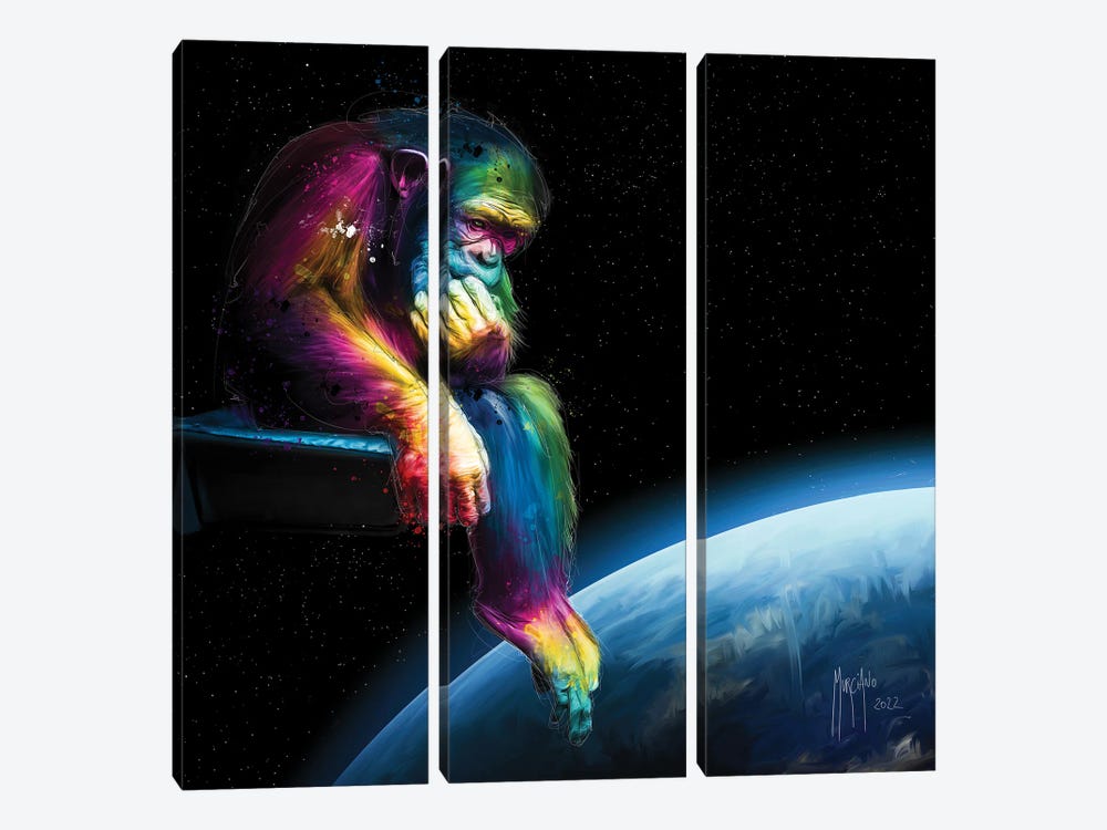 Why by Patrice Murciano 3-piece Canvas Art Print