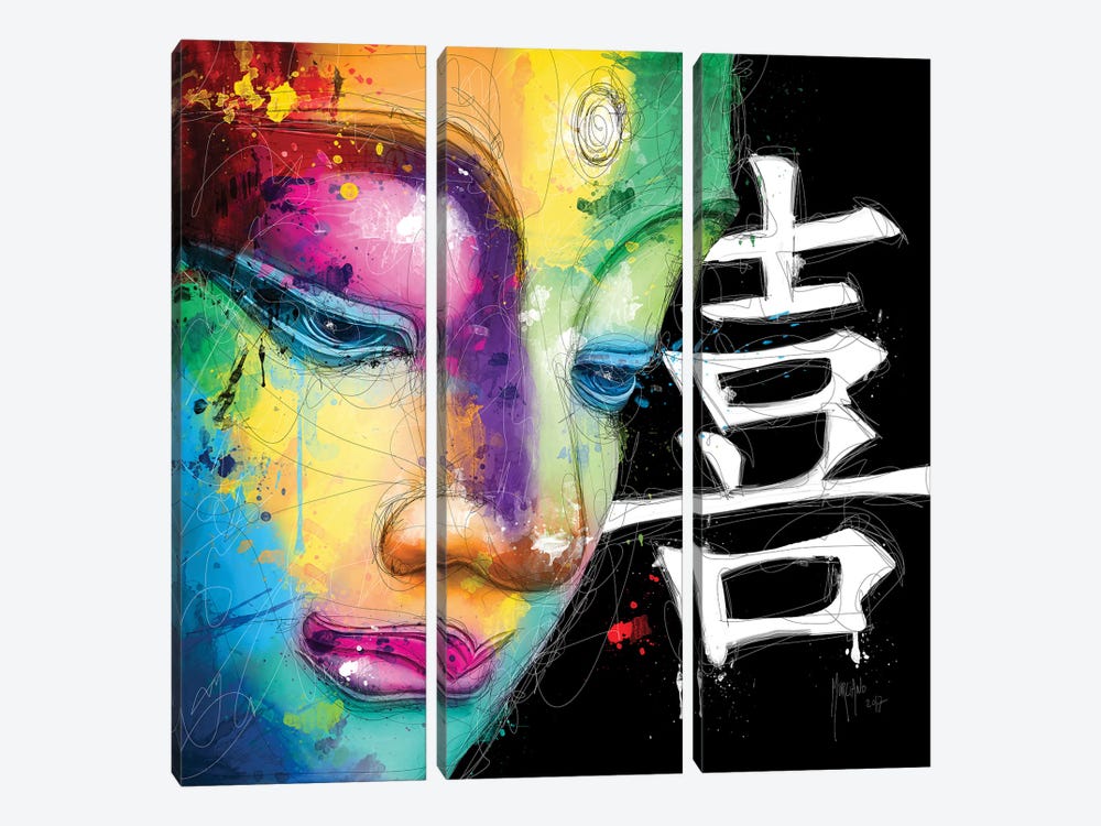 Happiness by Patrice Murciano 3-piece Canvas Wall Art