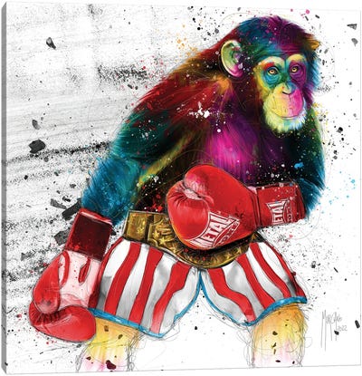 Monkey Balboa Canvas Art Print - Boxing Art