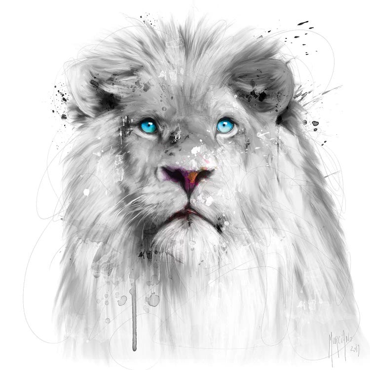 Lion White by Patrice Murciano wall art