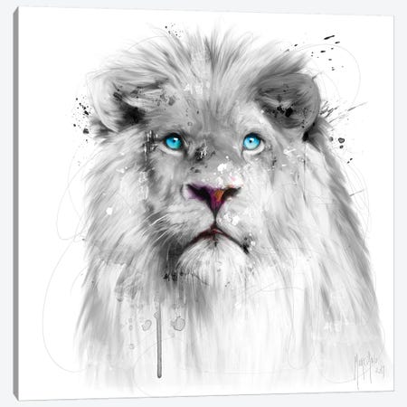 Lion White Canvas Print #PMU26} by Patrice Murciano Canvas Wall Art