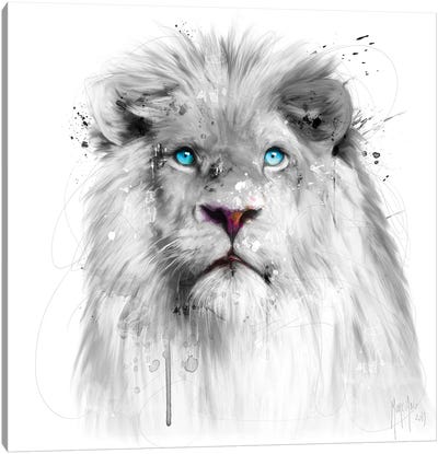 Lion White Canvas Art Print - Wild Cat Art