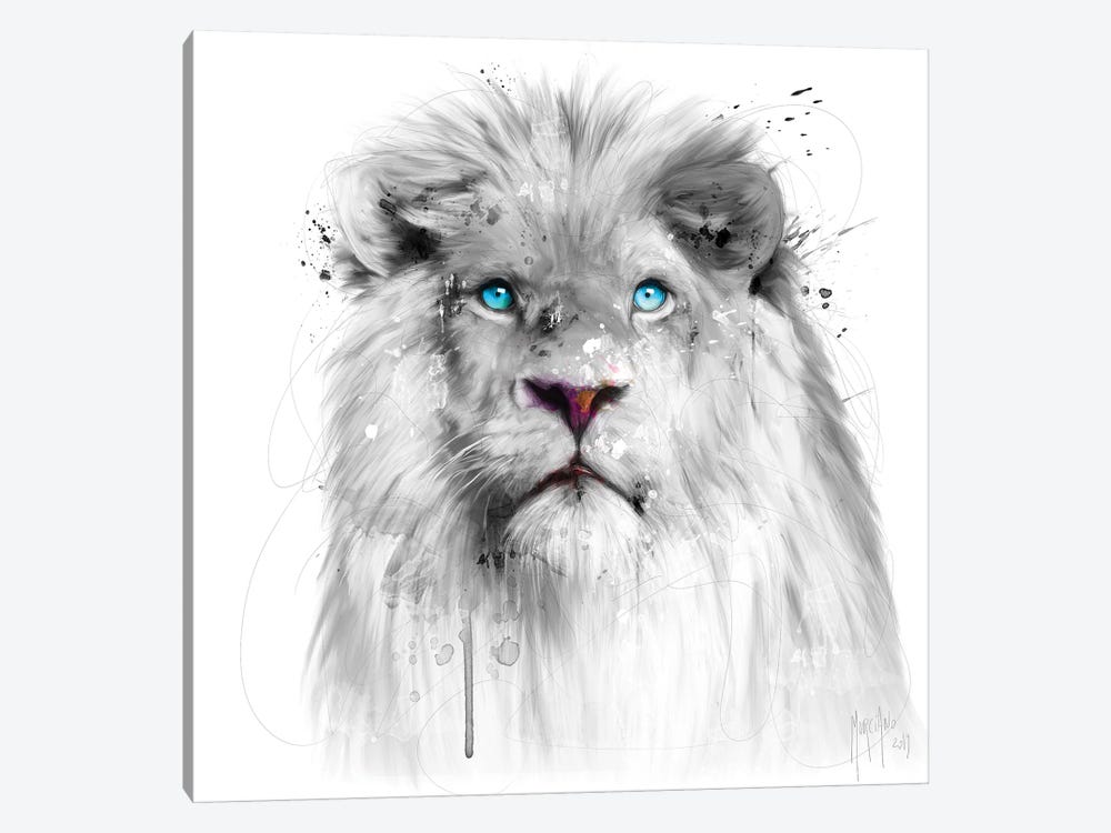 Lion White by Patrice Murciano 1-piece Canvas Wall Art