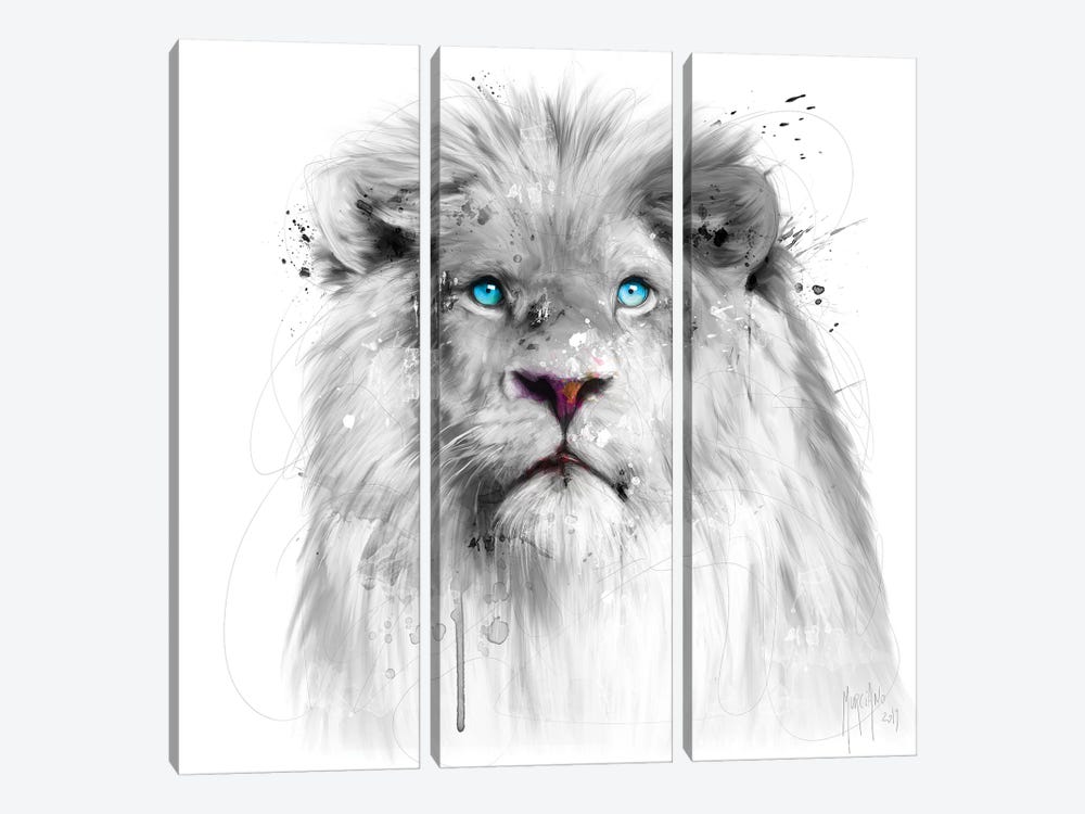 Lion White by Patrice Murciano 3-piece Canvas Art