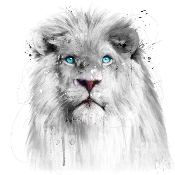 Tween Room: Lion White by Patrice Murciano
