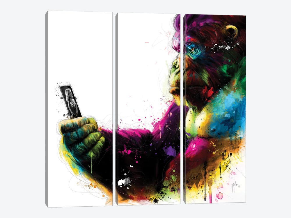 New Kong by Patrice Murciano 3-piece Canvas Art Print