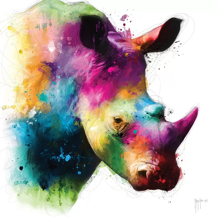 Rhinoceros by Patrice Murciano wall art