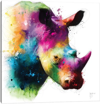 Rhinoceros Canvas Art Print - Patrice Murciano