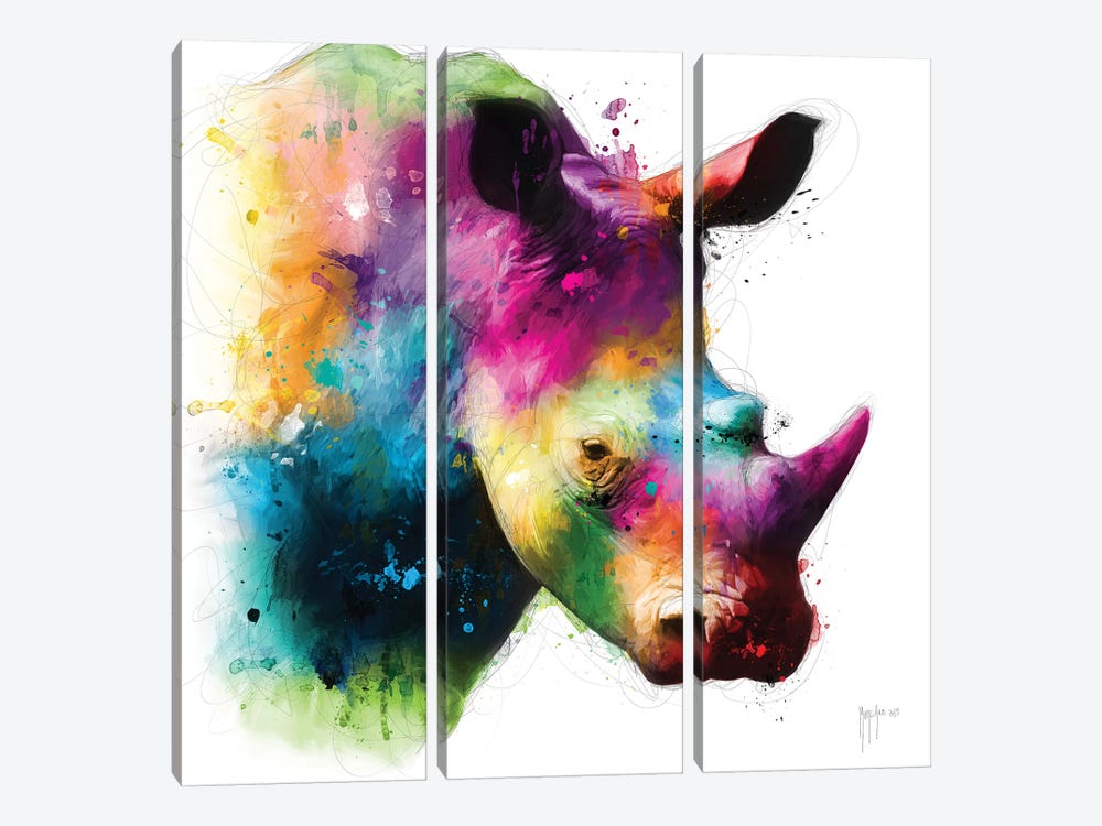 Rhinoceros by Patrice Murciano 3-piece Canvas Art
