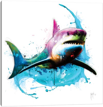 Shark Canvas Art Print - Patrice Murciano
