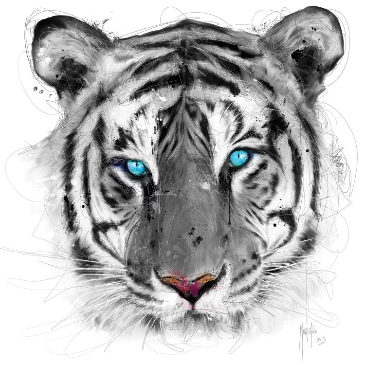 White Tiger by Patrice Murciano wall art