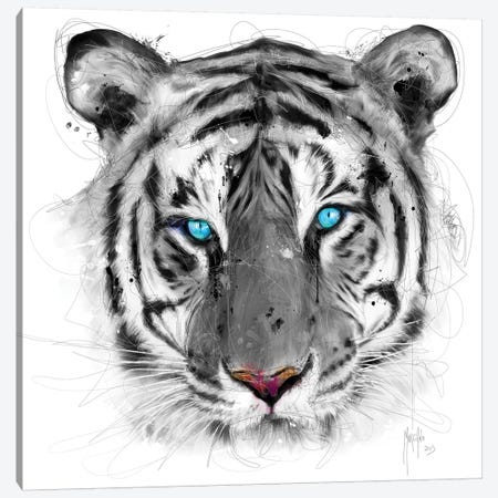 White Tiger Canvas Print #PMU45} by Patrice Murciano Canvas Art