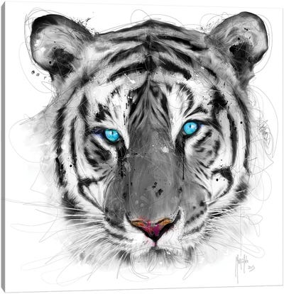 White Tiger Canvas Art Print - Patrice Murciano