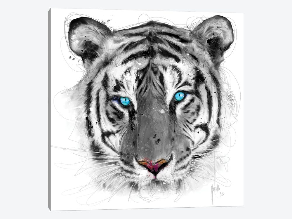 White Tiger by Patrice Murciano 1-piece Canvas Print
