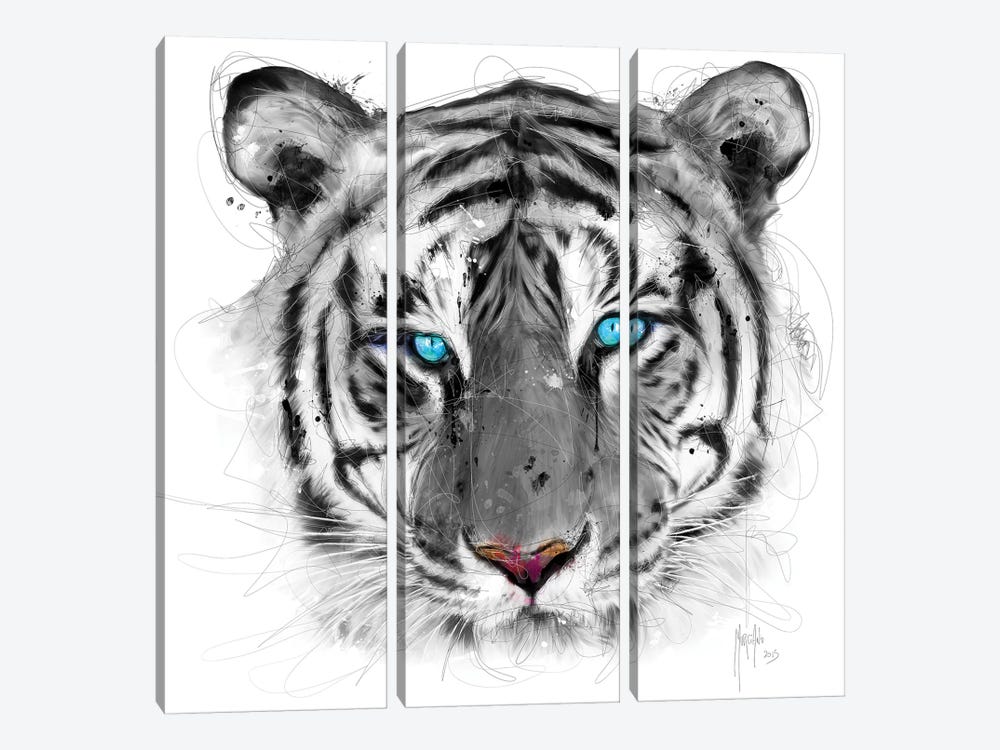 White Tiger by Patrice Murciano 3-piece Canvas Print