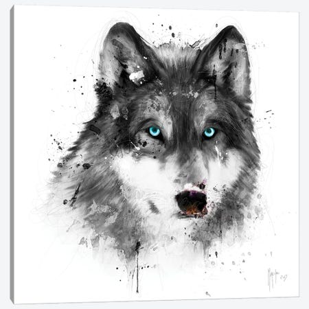 White Wolf Canvas Print #PMU46} by Patrice Murciano Canvas Artwork