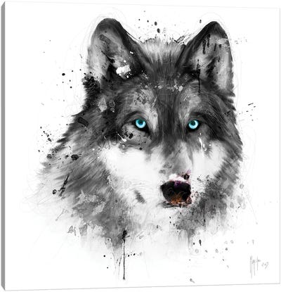 White Wolf Canvas Art Print - Patrice Murciano