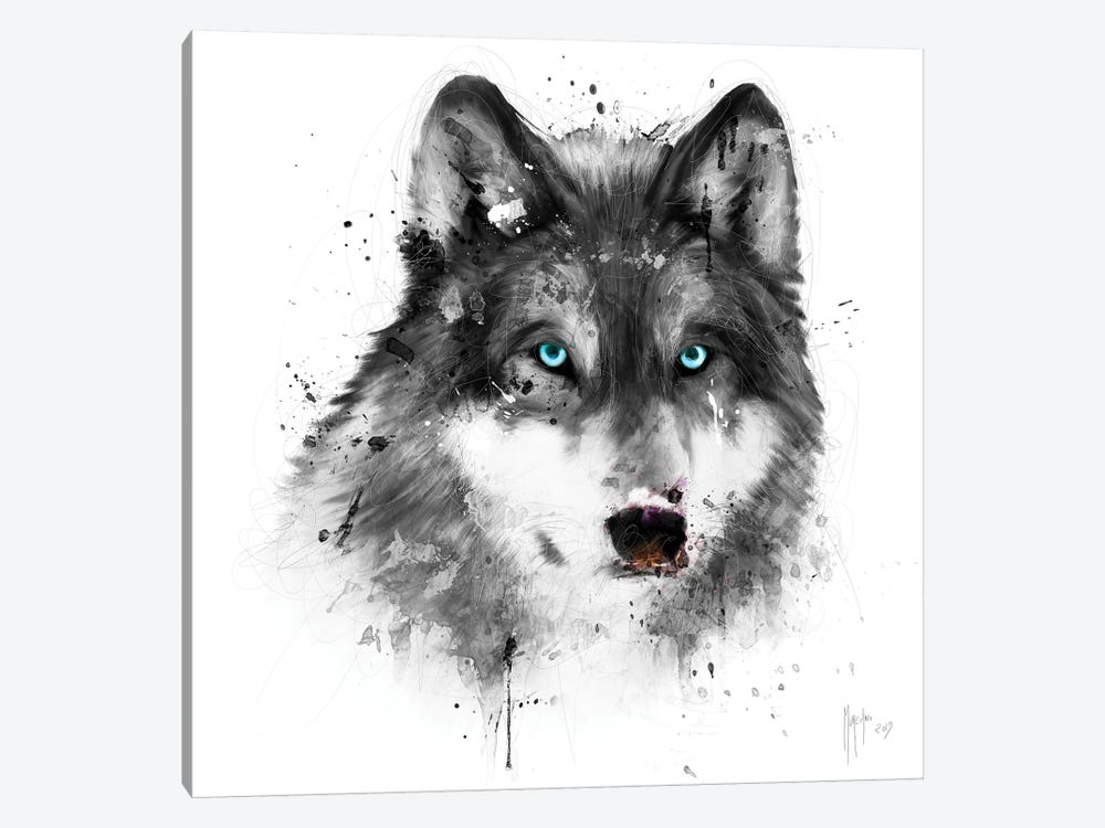 White Wolf by Patrice Murciano 1-piece Canvas Art