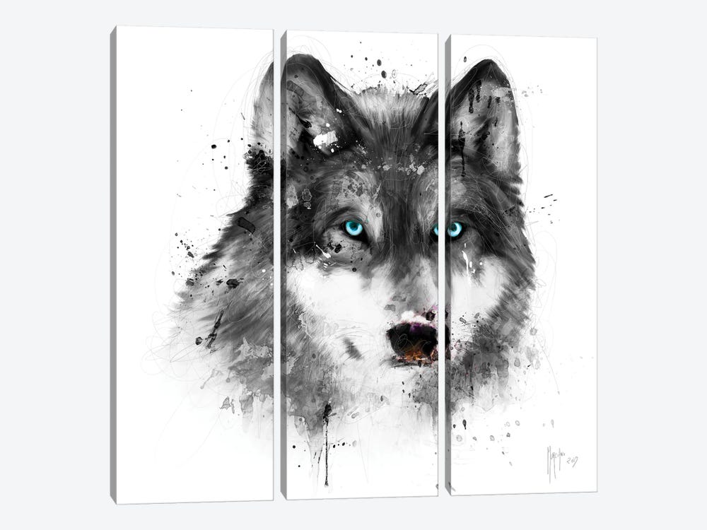 White Wolf by Patrice Murciano 3-piece Canvas Art