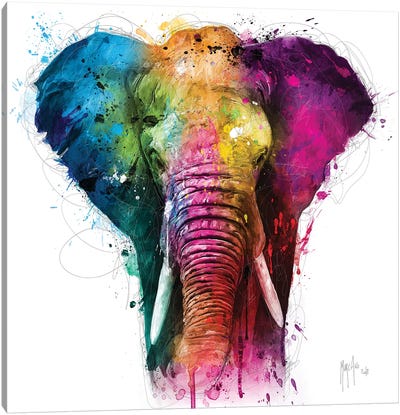 Africa Pop Canvas Art Print - Large Colorful Accents