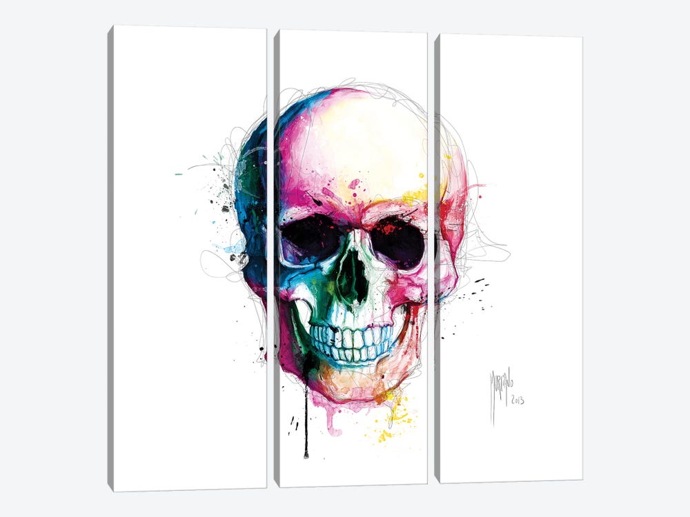 Angels Skull by Patrice Murciano 3-piece Canvas Artwork