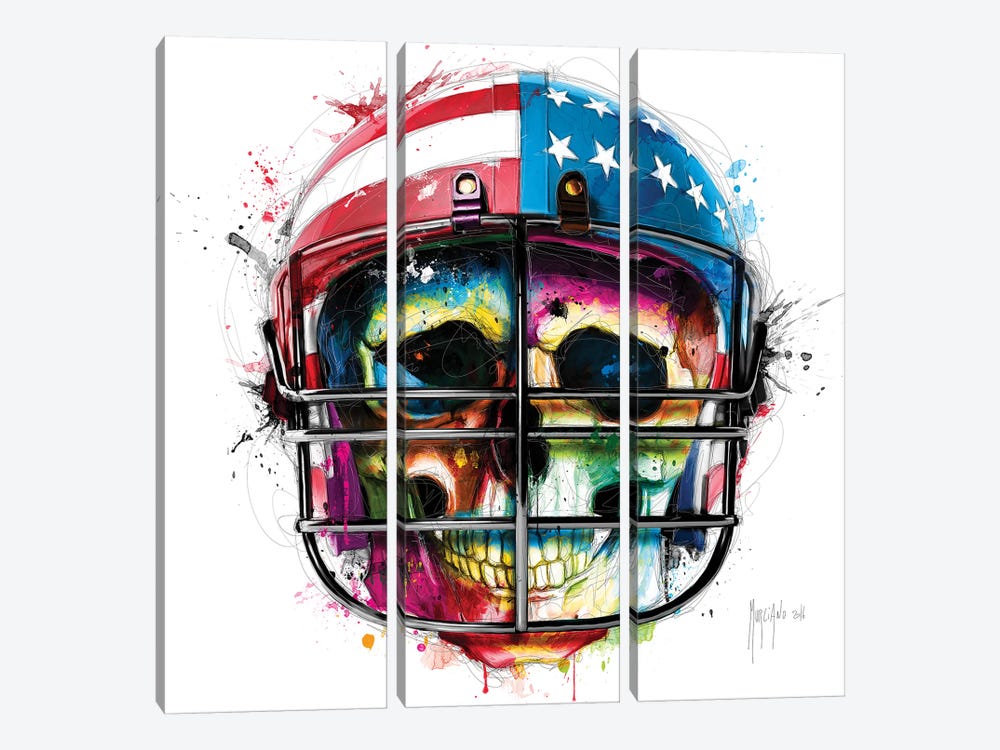 Born In The USA by Patrice Murciano 3-piece Canvas Wall Art