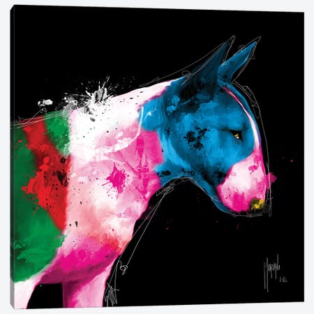Bull Pop Canvas Print #PMU58} by Patrice Murciano Canvas Art