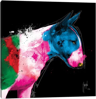 Bull Pop Canvas Art Print - Bull Terrier Art