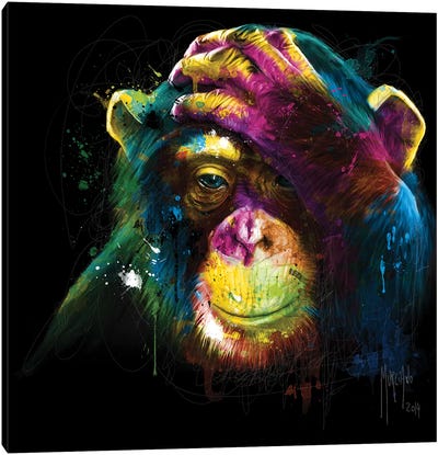 Darwin's Preoccupations Canvas Art Print - Primate Art