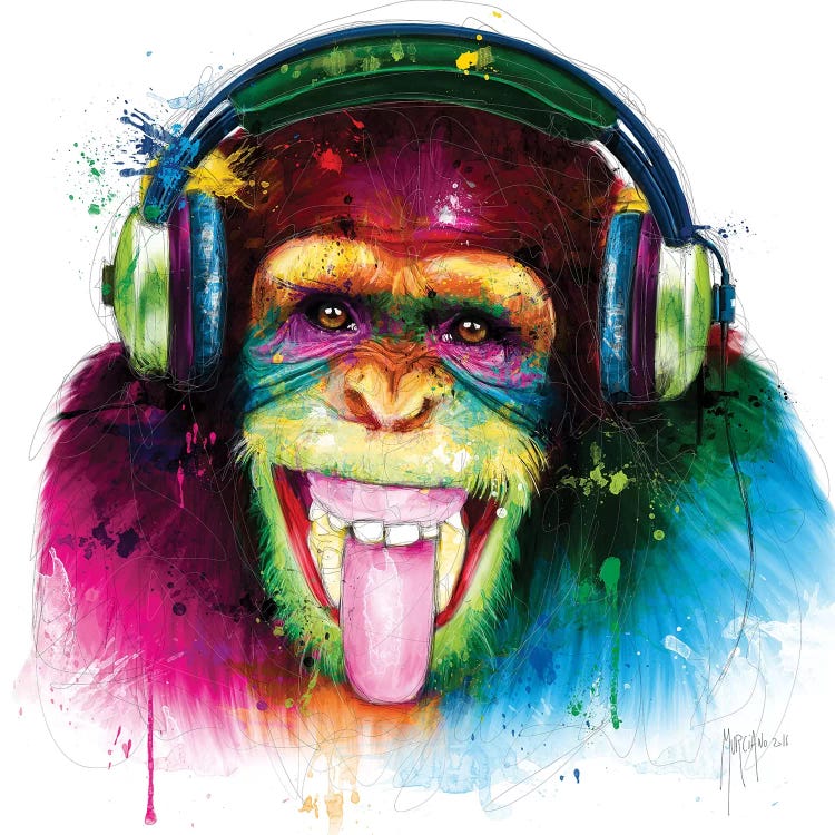 Dj Monkey by Patrice Murciano wall art