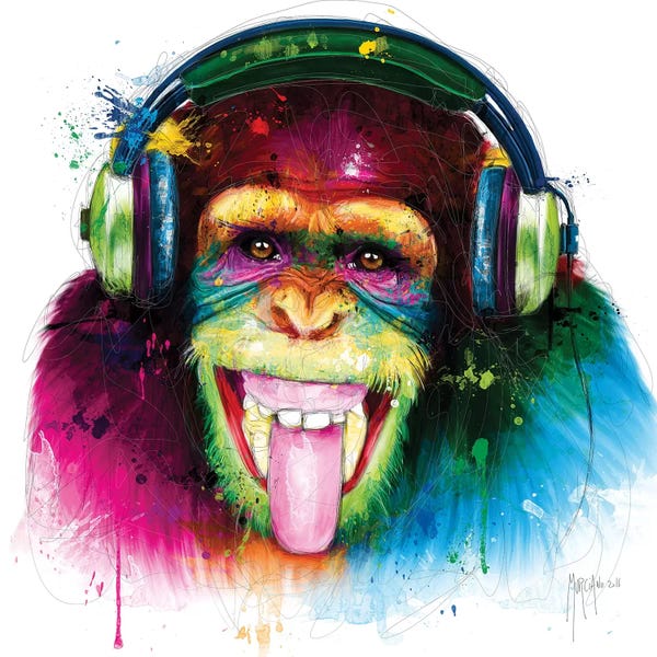 Primates: Dj Monkey by Patrice Murciano
