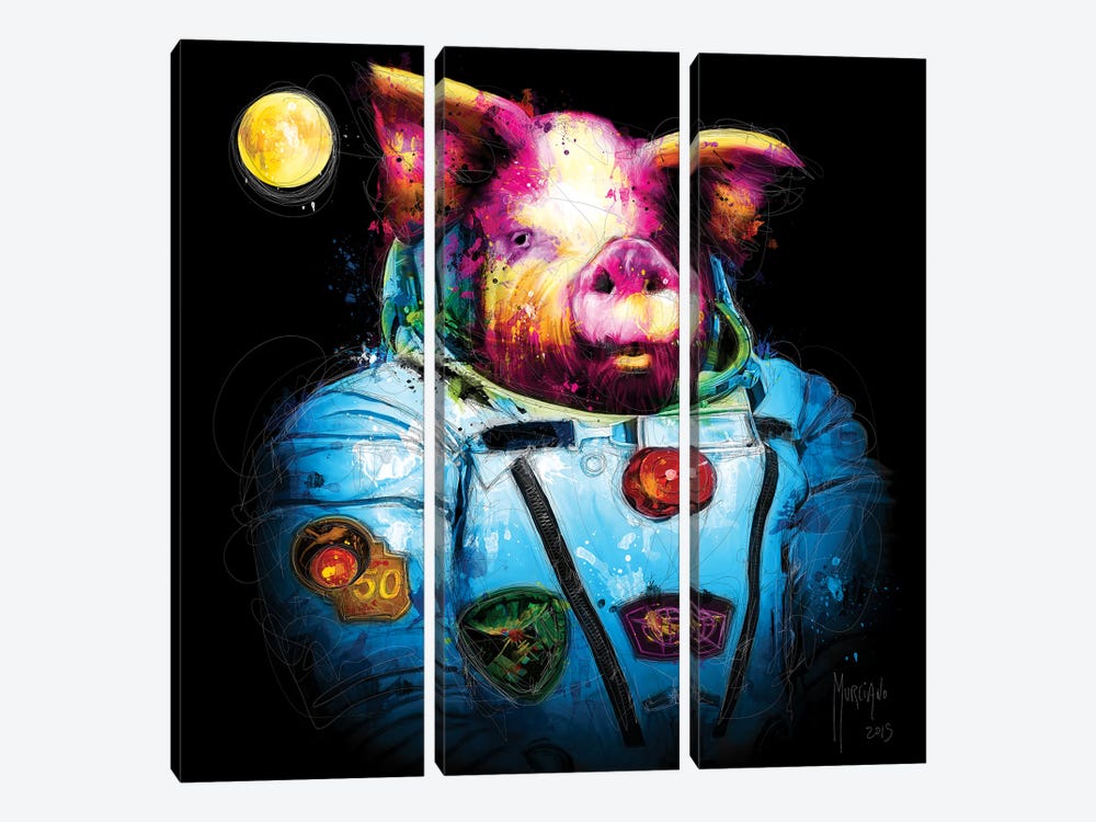 First Pig In Space by Patrice Murciano 3-piece Canvas Wall Art
