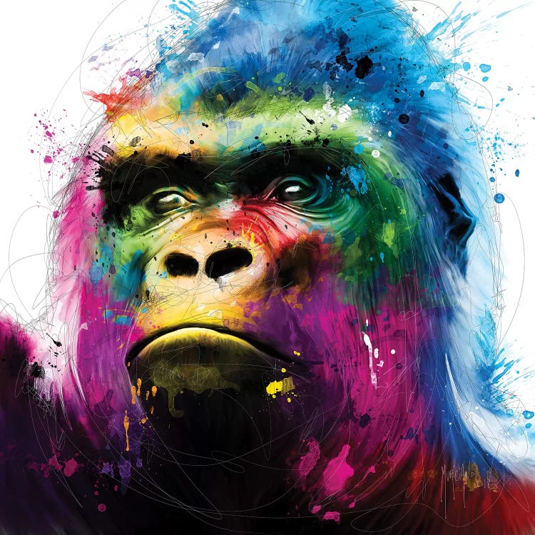 Gorilla by Patrice Murciano wall art