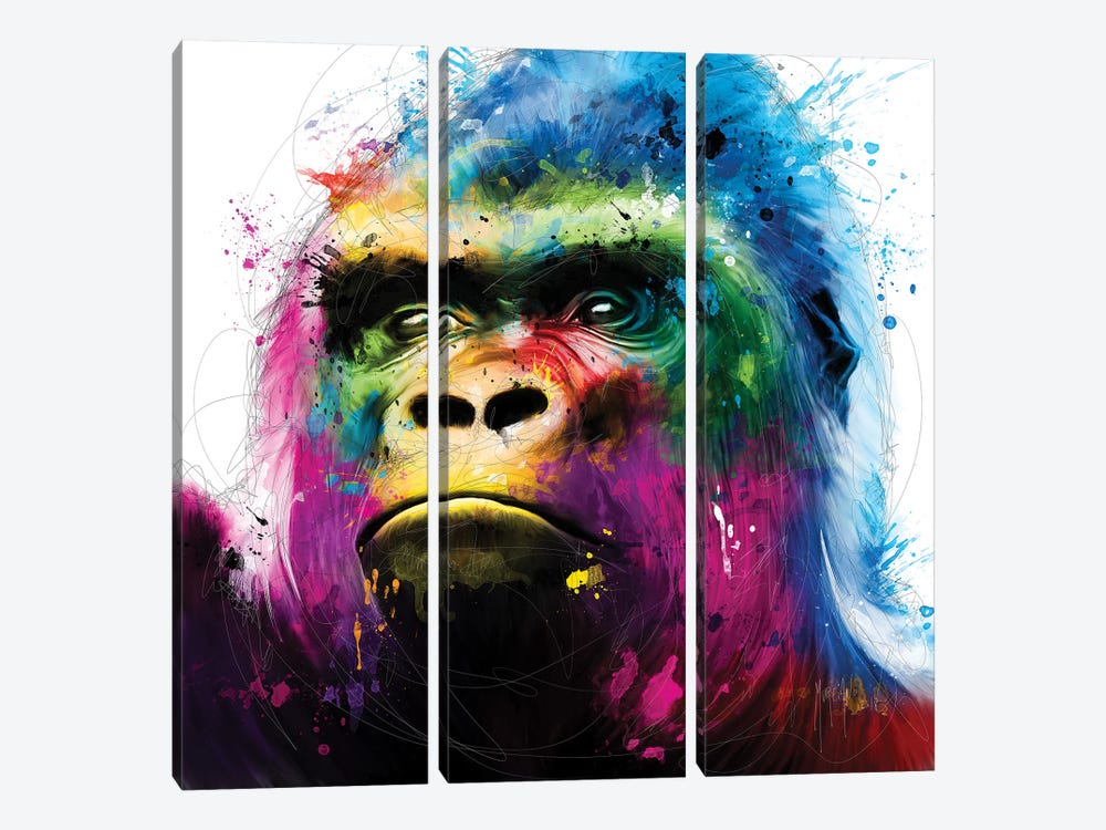 Gorilla by Patrice Murciano 3-piece Canvas Print