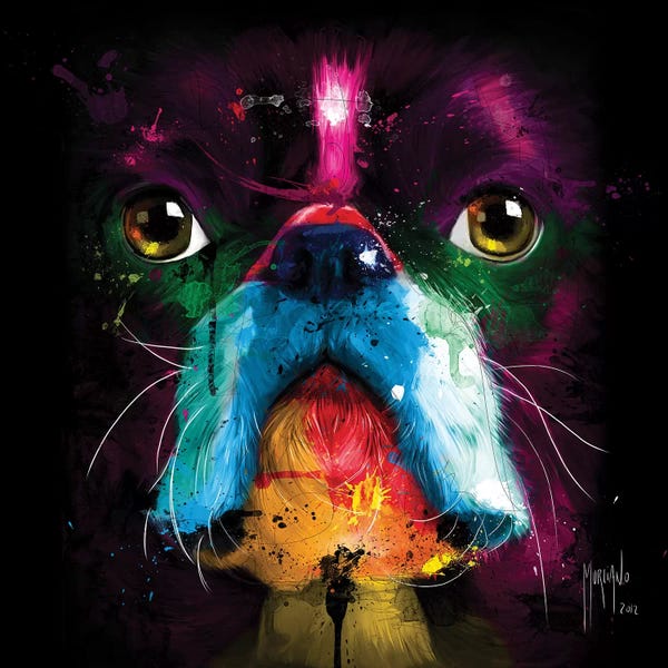 Terriers: Boston by Patrice Murciano