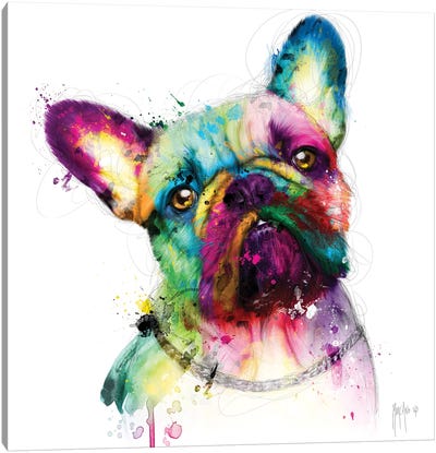 Bully Canvas Art Print - French Bulldog Art