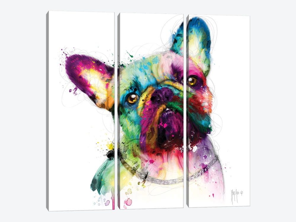 Bully by Patrice Murciano 3-piece Canvas Wall Art