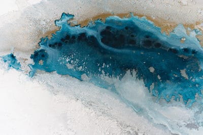 Royal Glow by Petra Meikle de Vlas canvas print