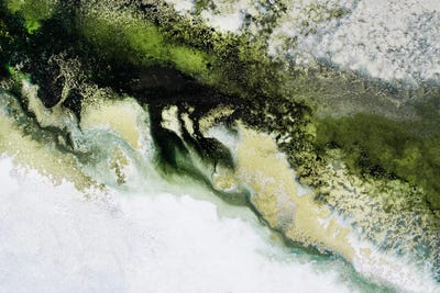 Wonders Of The Wild by Petra Meikle de Vlas canvas print