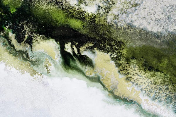 Petra Meikle de Vlas: Wonders Of The Wild by Petra Meikle de Vlas