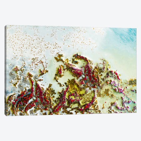 Shallow Reef Canvas Print #PMV101} by Petra Meikle de Vlas Art Print