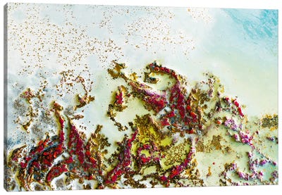 Shallow Reef Canvas Art Print - Agate, Geode & Mineral Art