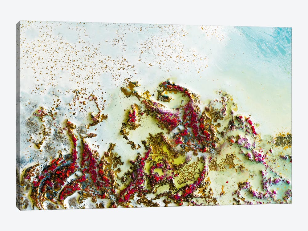 Shallow Reef by Petra Meikle de Vlas 1-piece Canvas Print