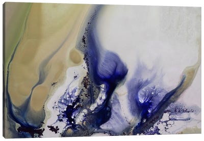 Whirls Of The Waterscape Canvas Art Print - Agate, Geode & Mineral Art