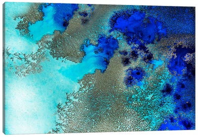 Reef Resonance Canvas Art Print - Agate, Geode & Mineral Art